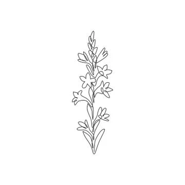 Single continuous line drawing beauty fresh agave amica for home decor wall Illustration