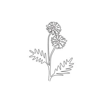 Single continuous line drawing beauty fresh bachelor's button for home decor イラスト素材