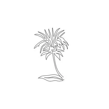 Single continuous line drawing of beauty fresh monarda for garden logo Stock Illustration