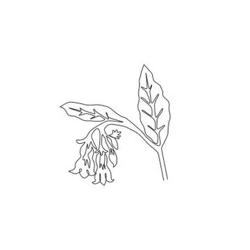 Single continuous line drawing of beauty fresh symphytum for garden logo Stock Illustration