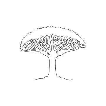 Single continuous line drawing beauty and exotic dragon blood tree for decor Stock Illustration
