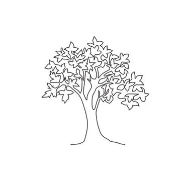 Single continuous line drawing of big beauty exotic maple tree for home wall Stock Illustration
