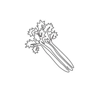Single continuous line drawing of bunch healthy organic green celery for farm Stock Illustration