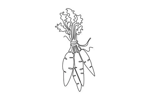 Single continuous line drawing bunch whole healthy organic carrots pile for.. イラスト素材