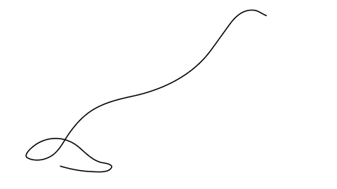 Single continuous line drawing of clever sea lion for aquatic circus show logo i Stock Footage 143461853