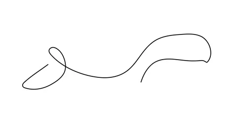 Single continuous line drawing of clever sea lion for aquatic circus show logo i Stock Footage 143461863