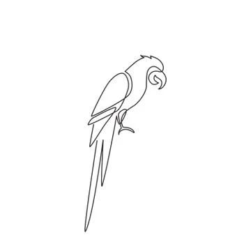 Buy Digital Download Pencil Drawing of a Parrot PNG File PSD File JPG File  Online in India - Etsy