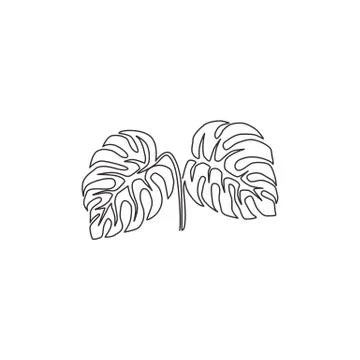 Single continuous line drawing cute exotic tropical leaves monstera plant Stock Illustration