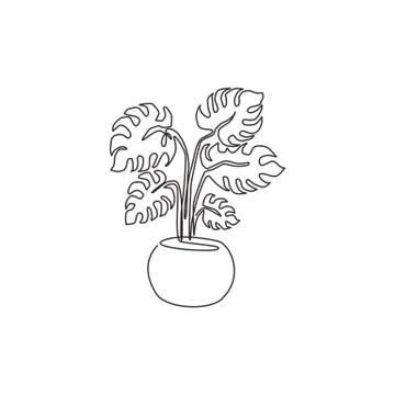 Single continuous line drawing exotic potted tropical leaf monstera plant Illustrazione stock
