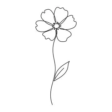 Single continuous line drawing of a flower. Minimalist floral vector illustra Stock Illustration
