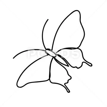 Butterfly line art. Simple drawing illustration. Hand drawn 11015142 Vector  Art at Vecteezy