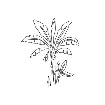 Single continuous line drawing of fresh and exotic banana tree. Decorative Illustrazione stock