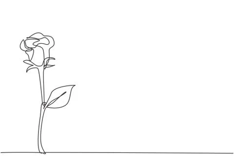 Single continuous line drawing of fresh romantic beautiful rose flower Stock Illustration