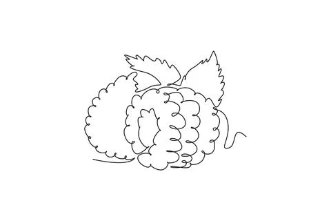 Single continuous line drawing half sliced healthy organic raspberry for or.. 스톡 일러스트