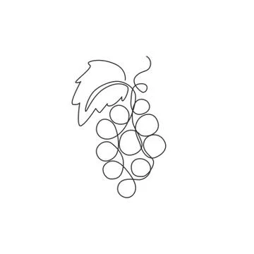 Single continuous line drawing healthy organic grapes for vineyard logo Illustrazione stock
