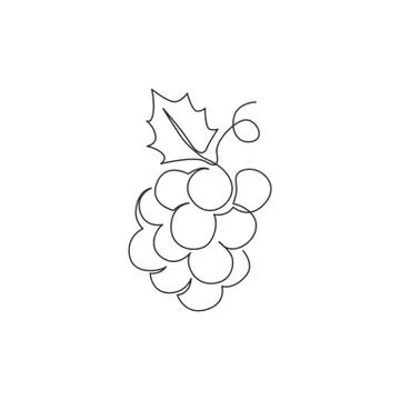 Single continuous line drawing healthy organic grapes for vineyard logo Stock Illustration