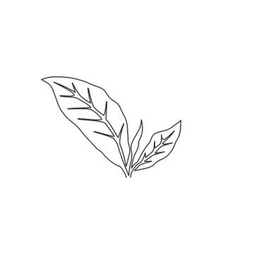 Single continuous line drawing healthy organic tea leaves for plantation logo Illustrazione stock