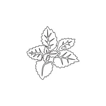 Single continuous line drawing of healthy organic mint leaves for farm logo Illustrazione stock
