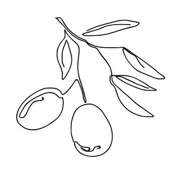 Single continuous line drawing of organic olive fruit brunch. Modern one line Stock Illustration