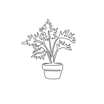 Single continuous line drawing potted cute tropical leaf plant. Printable Stock-Illustration
