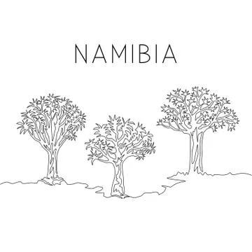 Single continuous line drawing of quiver tree forest. Decorative aloidendron Illustrazione stock
