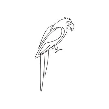 Single continuous line drawing of smart funny parrot bird for company logo Stock Illustration