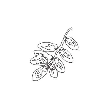 Single continuous line drawing stack healthy organic fruit dates for orchard Illustrazione stock