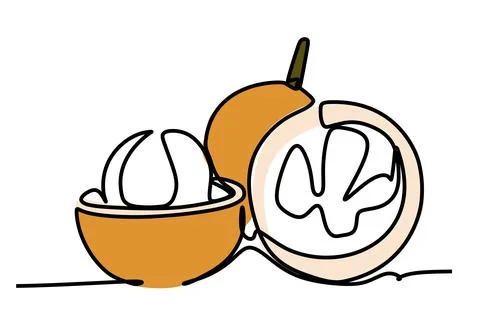 Single continuous line drawing of sweet tropical harp fruit slices. 스톡 일러스트