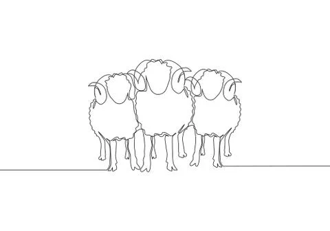 Single continuous line drawing of three sheeps lining up Stock-Illustration