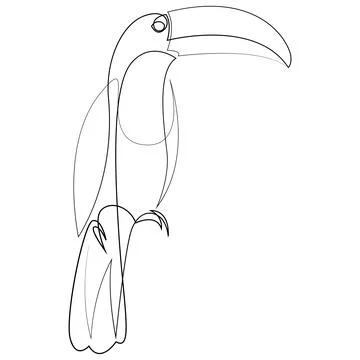 Single continuous line drawing of toucan bird. Vector illustration. Illustrazione stock