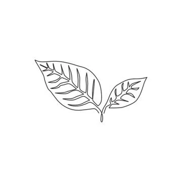 Single continuous line drawing of tropical tea leaves plant. Printable poster Stock Illustration