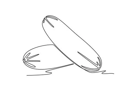 Single continuous line drawing of two whole healthy organic cucumber for or.. Stock Illustration