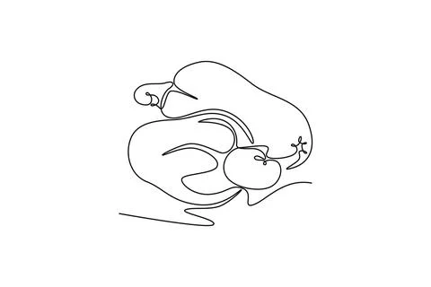 Single continuous line drawing two whole healthy organic cashew apple for o.. Stockillustratie