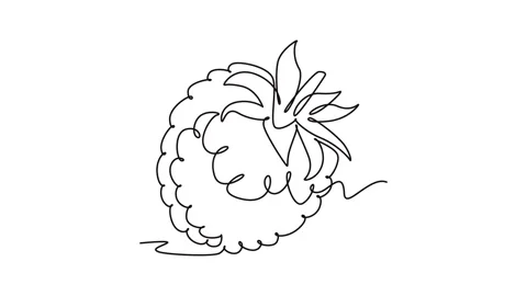 Single continuous line drawing whole healthy organic raspberry for orchard .. Stock Footage 276846252
