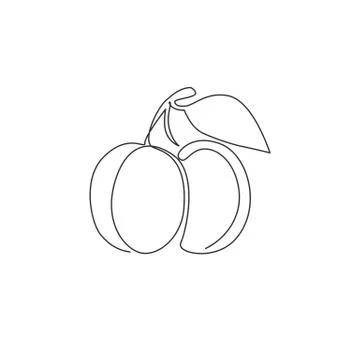 Single continuous line drawing of whole healthy organic apricot for logo Stock Illustration