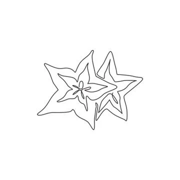 Single continuous line drawing of whole healthy organic starfruit for logo Illustrazione stock