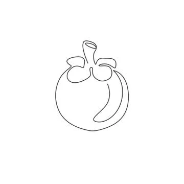 Single continuous line drawing whole round healthy organic mangosteen Stock Illustration
