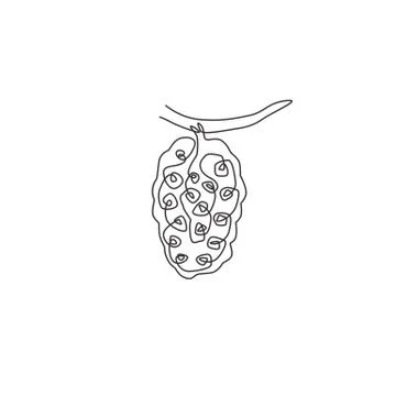 Single continuous line drawing whole healthy organic tropical noni Illustrazione stock