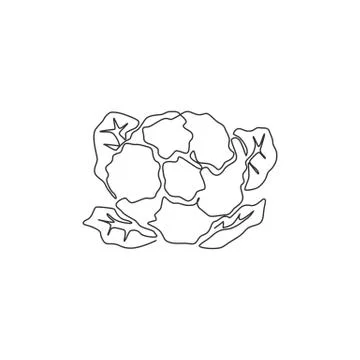 Single continuous line drawing of whole healthy organic cauliflower for farm Illustrazione stock