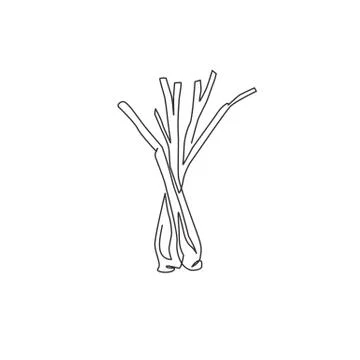 Single continuous line drawing of whole healthy organic lemongrass for farm Stock-Illustration