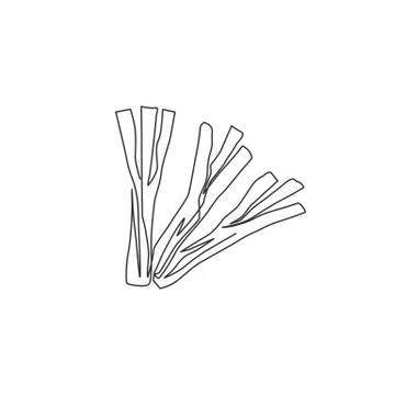 Single continuous line drawing of whole bunch healthy organic leek for farm Stock Illustration