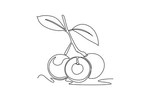 Single continuous line drawing of whole and cut healthy organic longan for .. Stock-Illustration