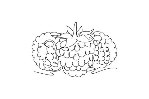 Single continuous line drawing whole healthy organic raspberry for orchard .. Stockillustratie