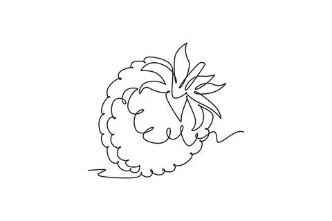 Single continuous line drawing whole healthy organic raspberry for orchard .. 스톡 일러스트