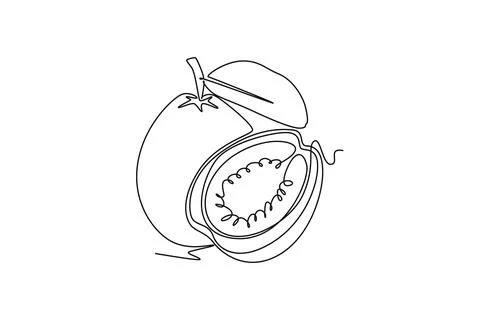 Single continuous line drawing whole and half sliced healthy organic java g.. Stockillustratie