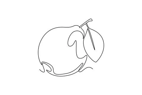 Single continuous line drawing whole healthy organic java guava for orchard.. Stock Illustration