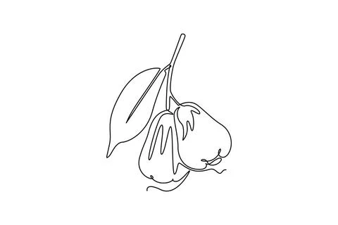 Single continuous line drawing whole healthy organic bell fruits for orchar.. Stock Illustration