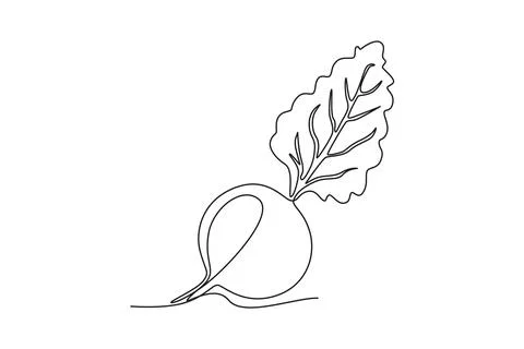 Single continuous line drawing whole healthy organic beetroot for plantatio.. Stock-Illustration