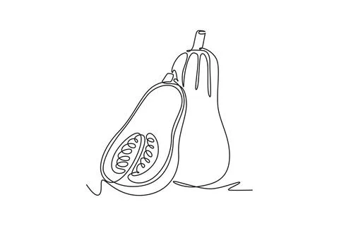 Single continuous line drawing whole and sliced healthy organic butternut s.. Stock Illustration