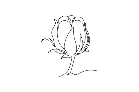 Single continuous line drawing of whole soft and fluffy cotton flower for f.. 스톡 일러스트